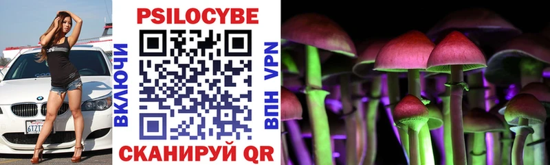 Псилоцибиновые грибы Cubensis  Купить закладки  Аркадак 